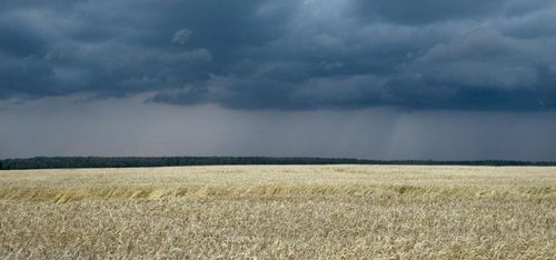 ”Sena grödorna hårdast drabbade”