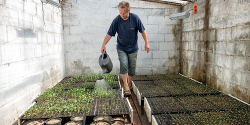 Försäljningsrekord i pandemins spår