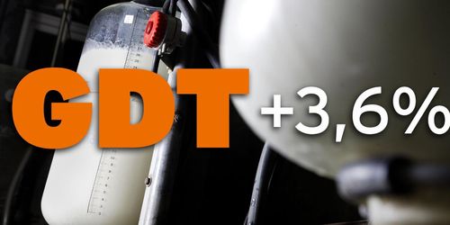 Uppåt för mjölkprisindex