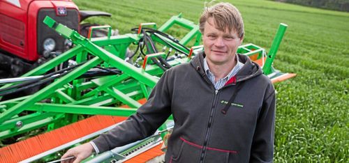 Han vinner kampen mot tistlarna