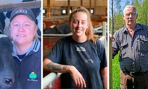 ”Vildsvinen kan bli det som får oss att ge upp”