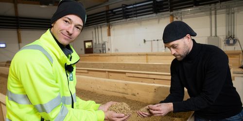 Här görs kornet till malt