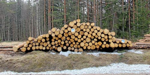 Avgifterna får inte drabba enskilda skogsägare