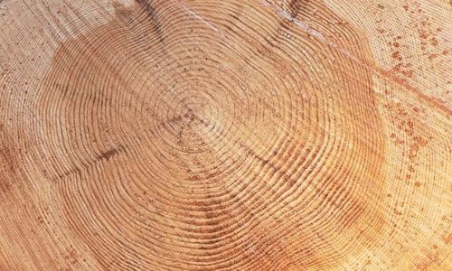 Foto vid varje kap märker stocken