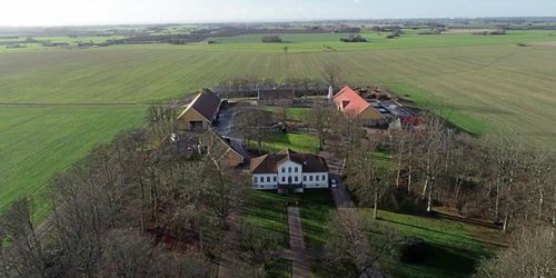 ATL TV: De dubblar ekogrisarna till egna varumärket