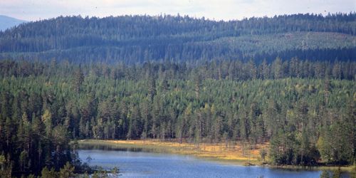 Miljardär vill skydda en tredjedel av jorden