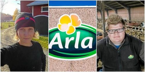 Arlabönder: ”Ska inte krävas ett krisår”