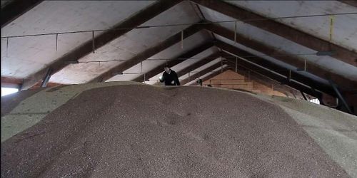 ATL TV: Risk för fuktvandring i spannmålen