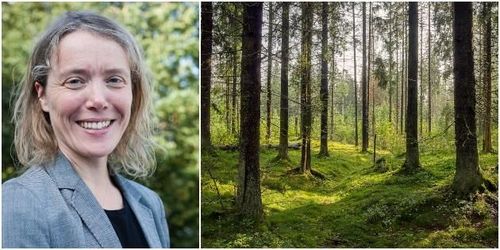 Skärpning – forskare kan inte svara på allt