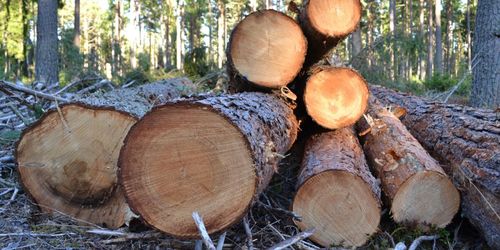 Mellanskog höjer och sänker