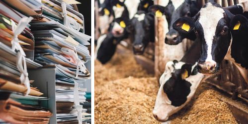 C: ”Nu stärker vi svensk livsmedelsproduktion”