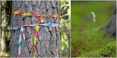 Vill ha stopp för artskyddsärenden