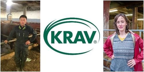 Kravbönder: ”Liten klick gör stor skada”