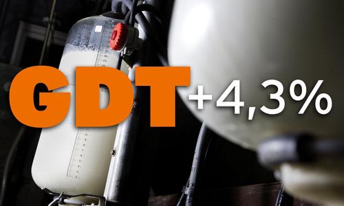 Fortsatt uppgång för mjölkprisindex