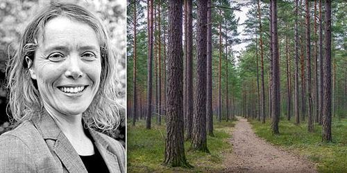 ”Nationella låsningar kan bli regionala lösningar”