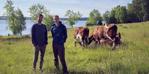 Orienteringsteknik ska hålla koll på betesdjuren