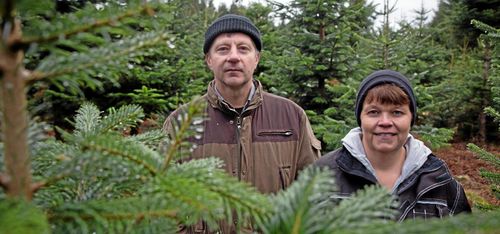 Dags att skörda gröna guldet