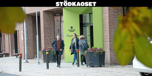 Lista: ATL:s granskning av stödkaoset i korthet
