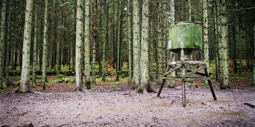 Länsstyrelserna får begränsa viltutfodring