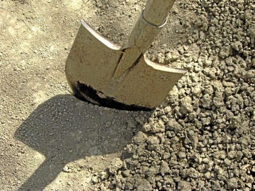 Efter torkan - vädjar om dispens för skörd