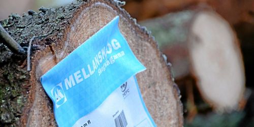 Mellanskog föreslår vinstdelning på 36 miljoner