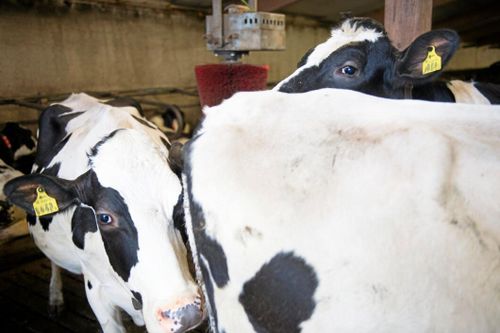 ”Hur fan ska pengarna räcka?”