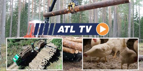 ATL TV: 74-tonnare, Finnmetko och pressad äggbransch