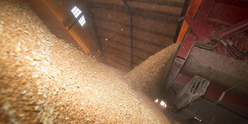 Vetepriset på högsta nivån på två år