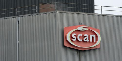 Våg av anmälningar mot HK Scans reklam