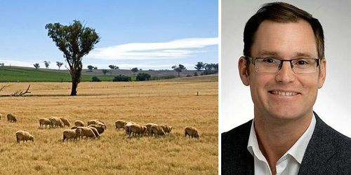 Köttproduktionen ska bli klimatneutral