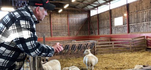 Tackpeng hittills en succé