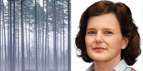 Vi behöver berätta historien om skogen