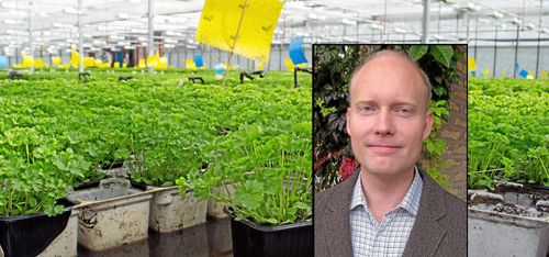 Integrerat växtskydd - nu attackeras svagheterna