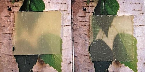 Smart trä i framtidens fönster