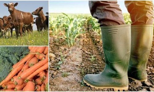 Sträck på dig och känn stolthet - för du är bonde!