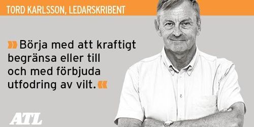 Lagstifta för att stoppa vildsvinen