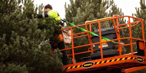 Kottplockning på hög nivå