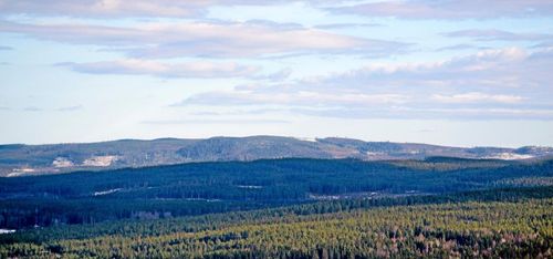 Allmänningar samlas mot avsättningar
