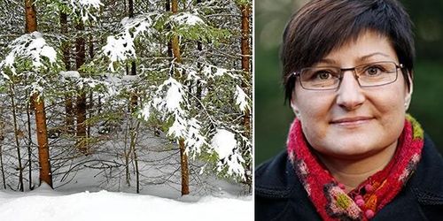 Statsvetare: Politikerna har tagit ett steg tillbaka