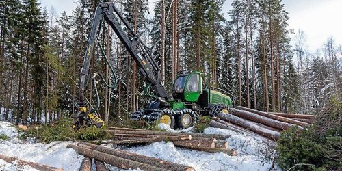 Skogsstyrelsen får bakläxa om avverkning