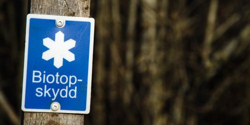 381 miljoner för nyckelbiotoper