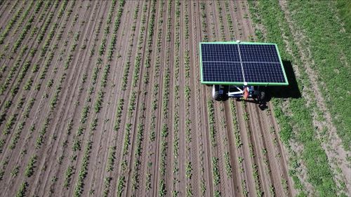 Här är odlingsroboten som rensar ogräs