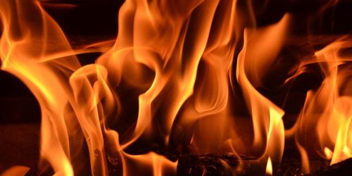 Rökdykare räddade hästar från stallbrand