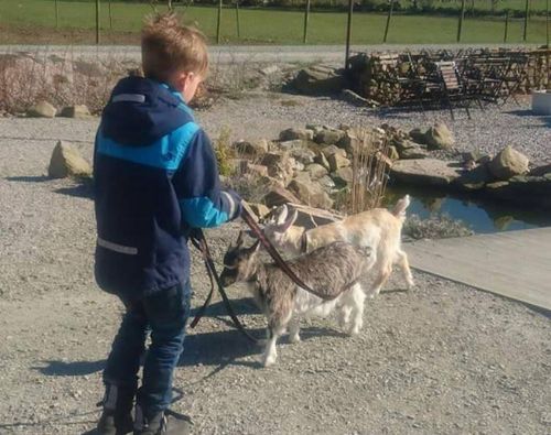 Polisräddad killing stulen i Skåne