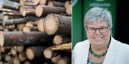 MP: Dags för Centern att gräva ned stridsyxan