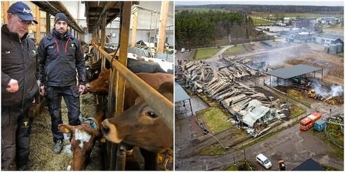 De ställde upp för eleverna efter branden