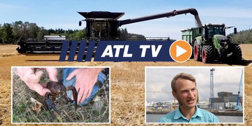 Tröskor, unika avlopp och lönsamma kräftor