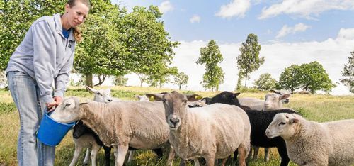 Gården blev större efter branden