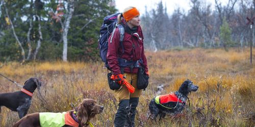 Följ med SVT-profilen på ripjakt