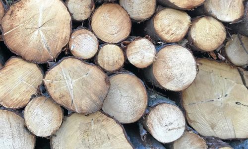 Nya regler: Tillstånd för virkestravar börjar kosta